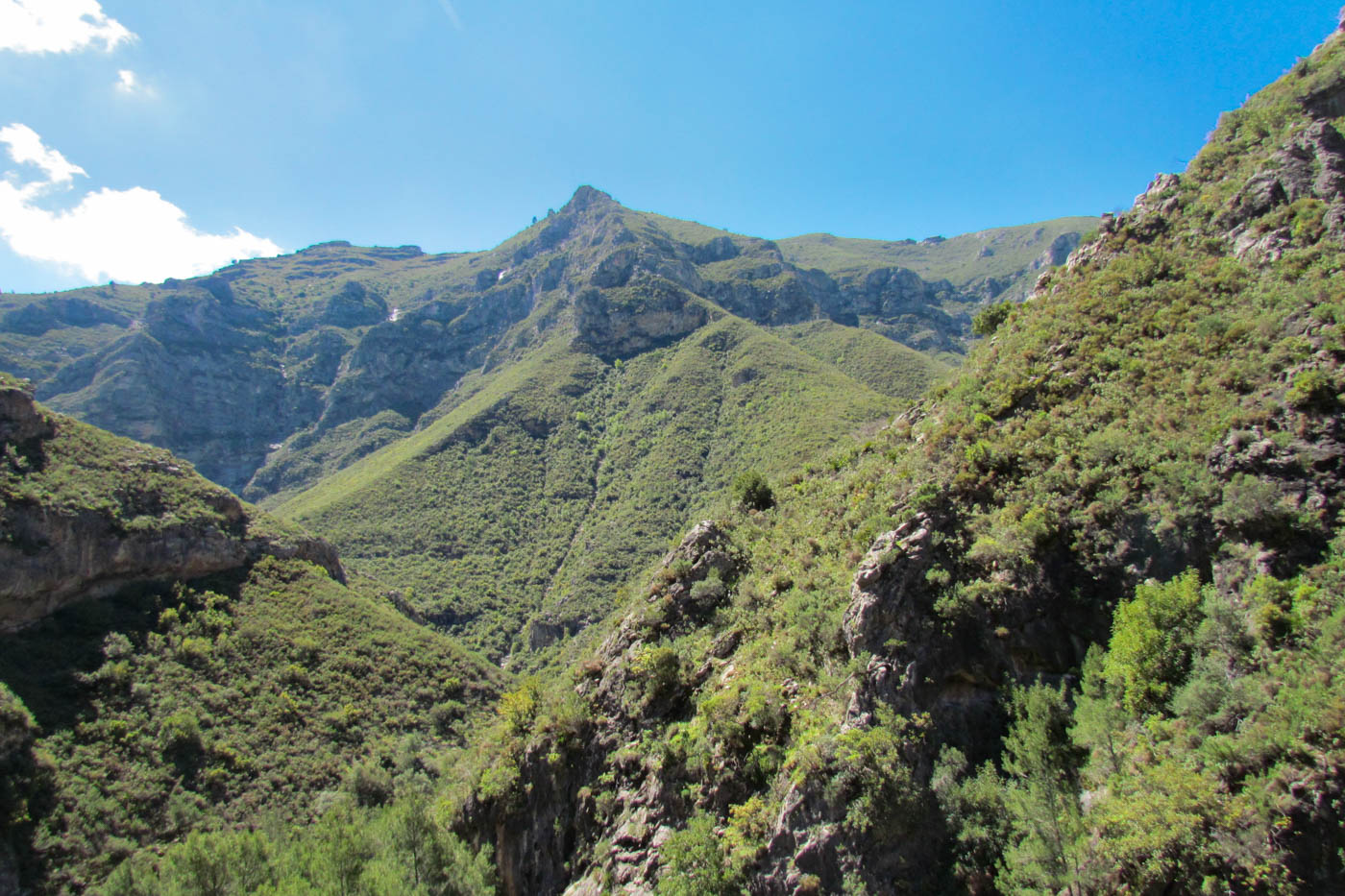 This semi tropical mountain setting is stunning