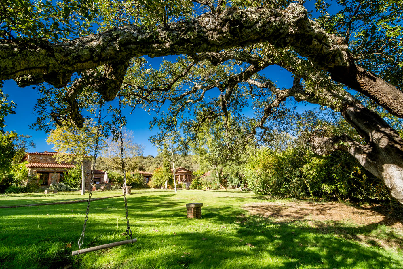 Amplias zonas comunes