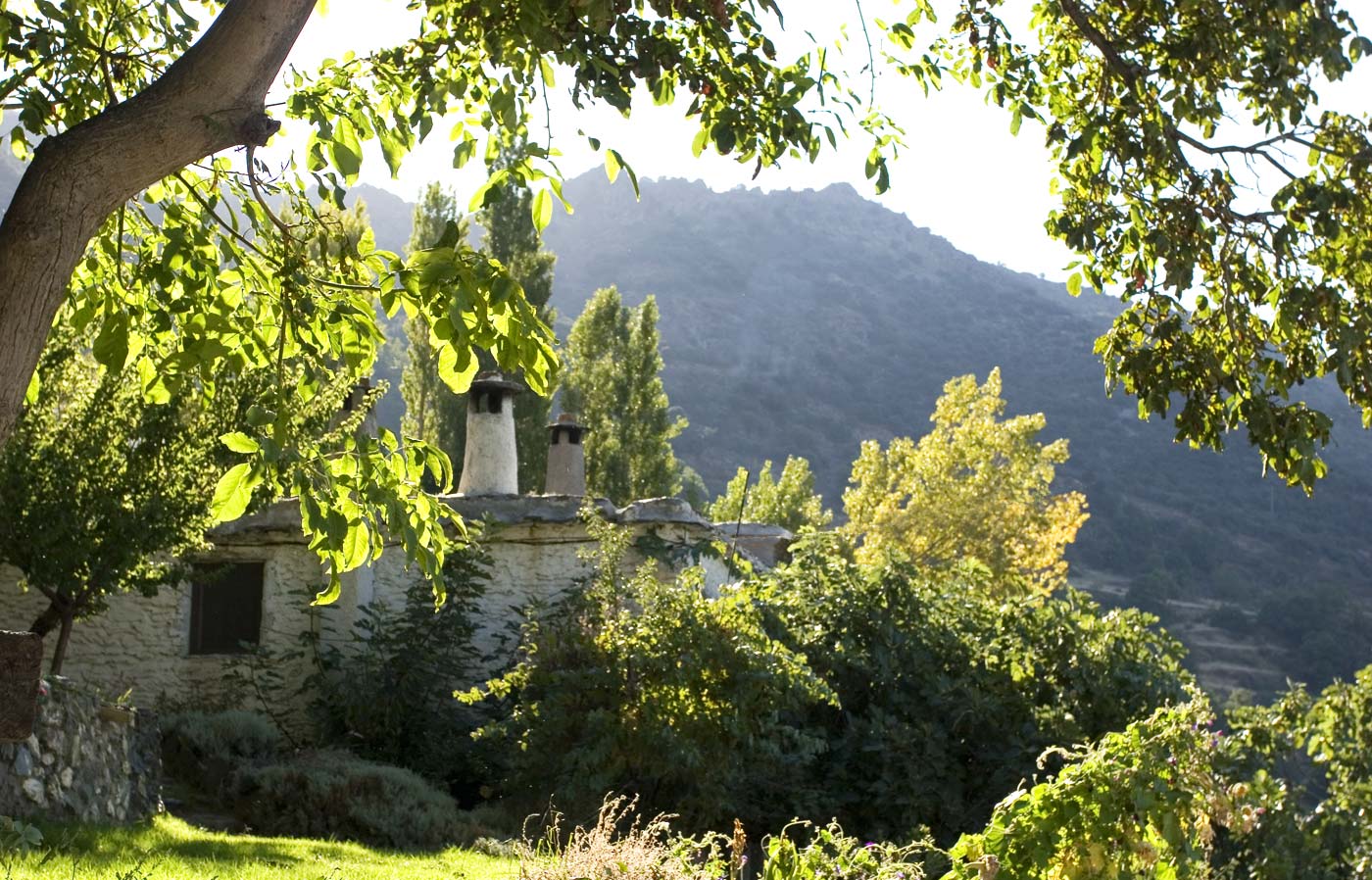 La casa vista desde los jardines