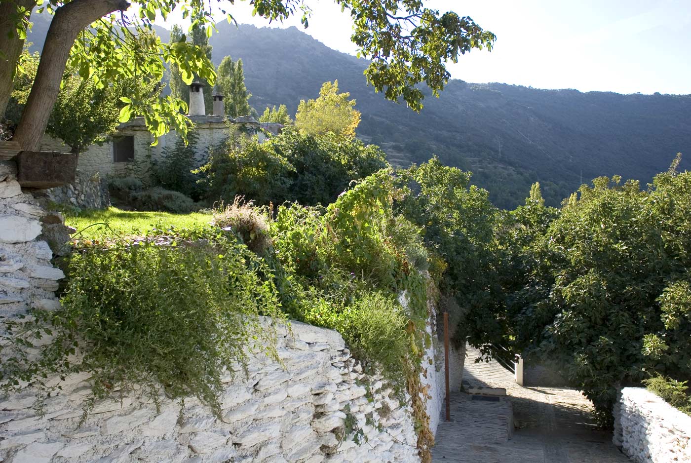 Los jardines vistos desde abajo 