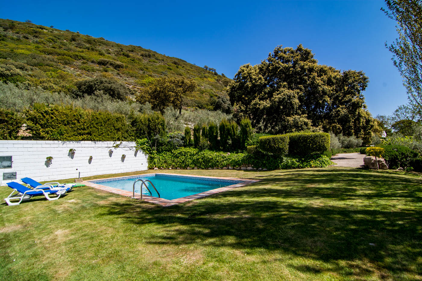 Lawned gardens and pool area