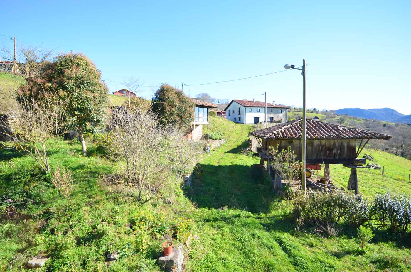 Cottage location on edge of village