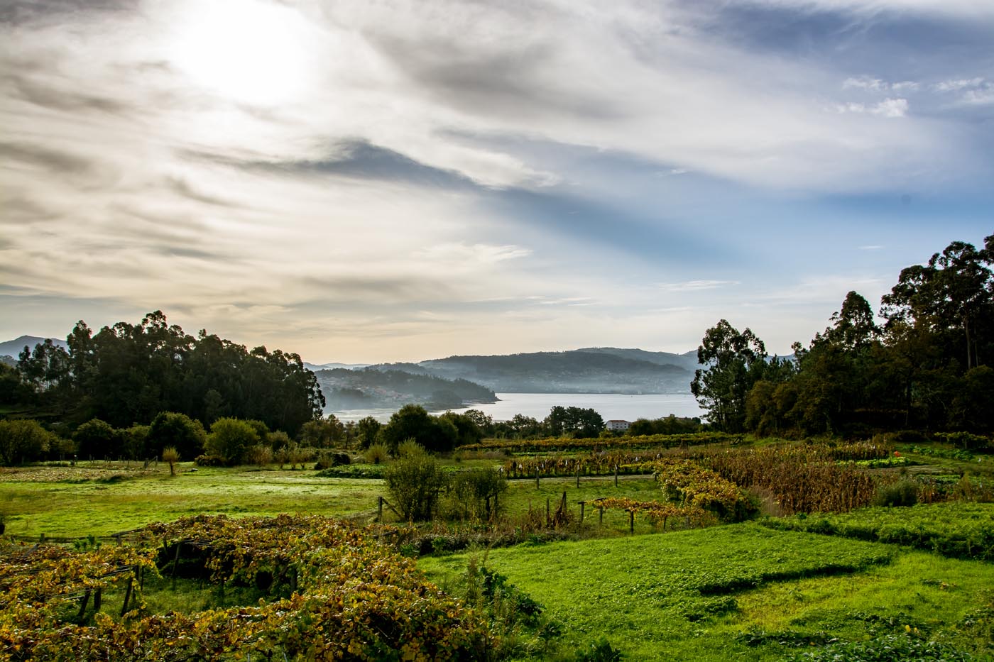 View of the Galicia coast