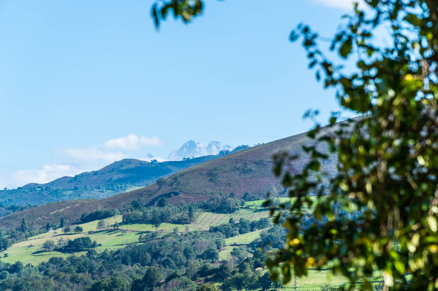 Los impresionantes Picos de Europa a lo lejos