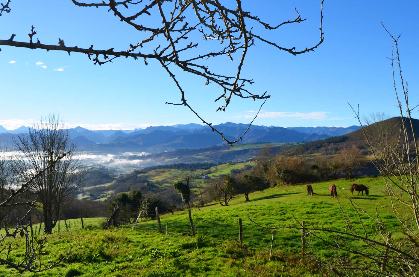 Tus vistas son impresionantes