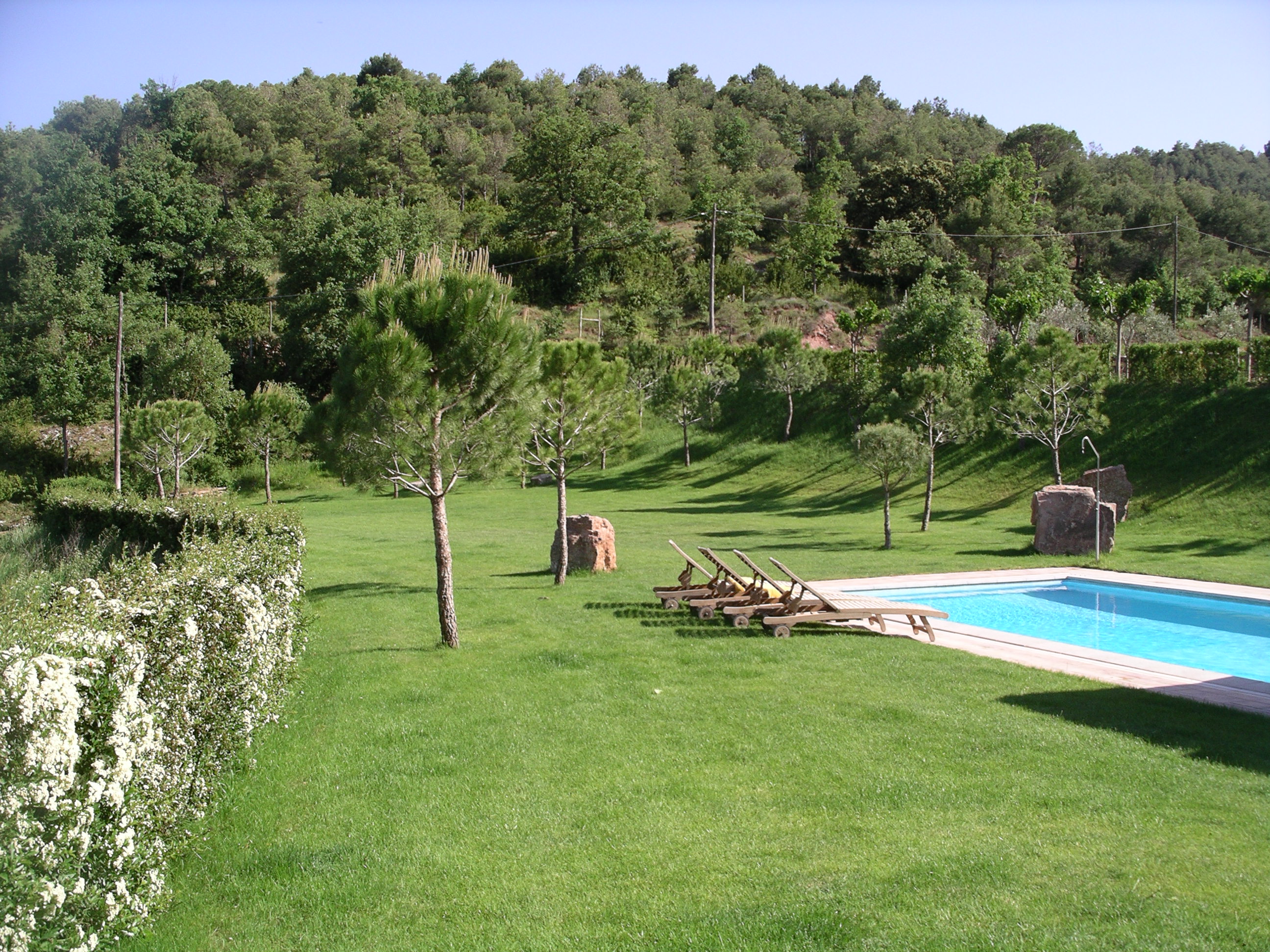 Tumbonas junto a la piscina