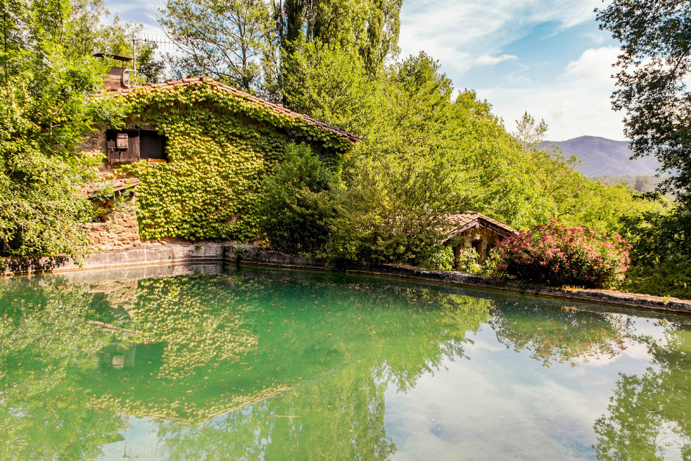 Wild swimming in natural pool