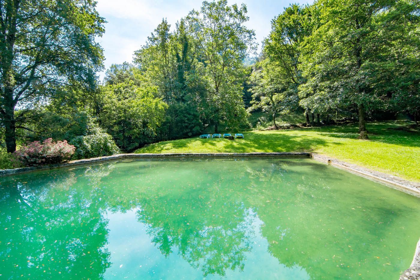 Total privacy by thick forest