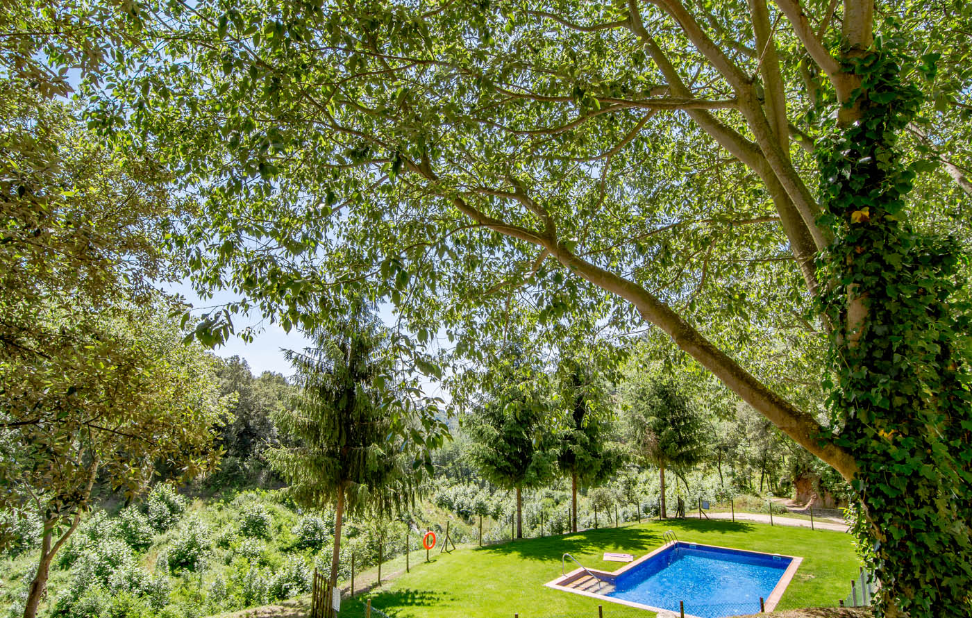 Zona de piscina irresistible