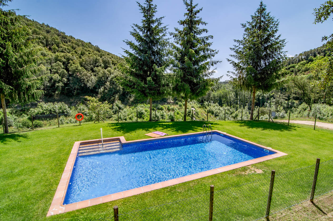 Jardines con césped en la piscina