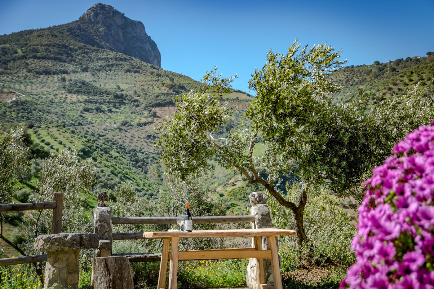 Mira hacia la montaña Tajo (foto de mediados de primavera)