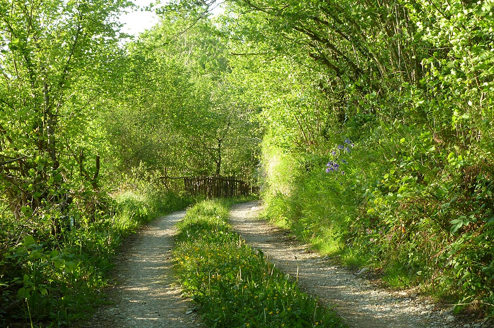 Llegando a su cabaña pasiega