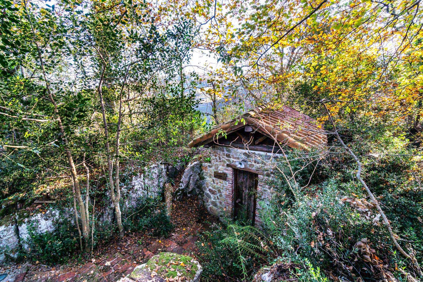 La sauna está al lado de la cabaña