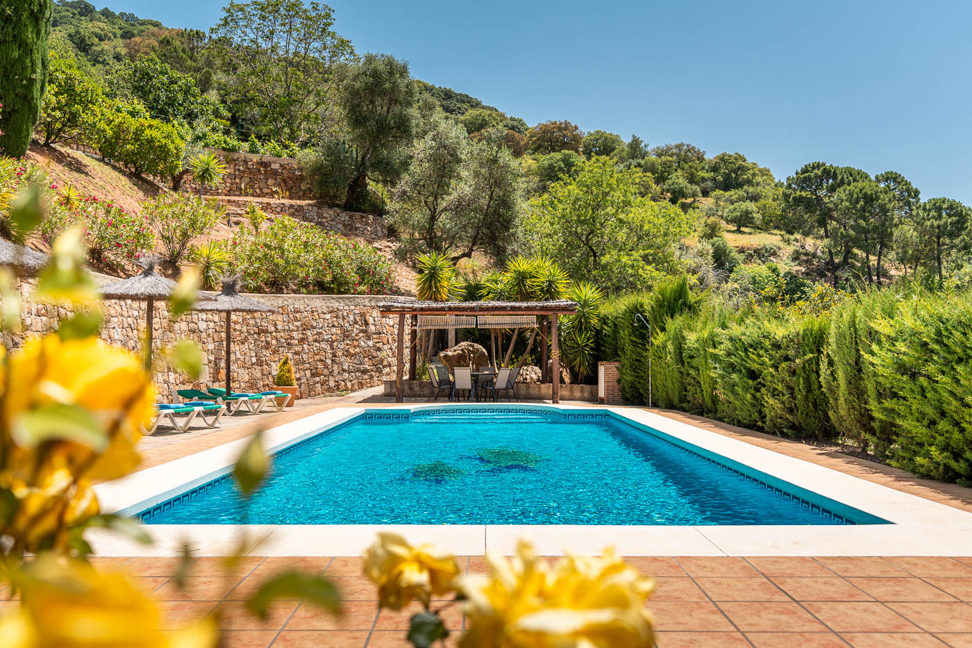 Amplia piscina privada