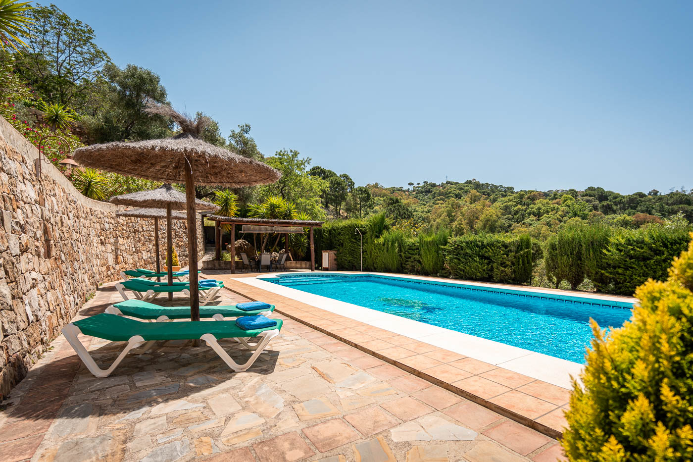 Piscina y zona para tomar el sol