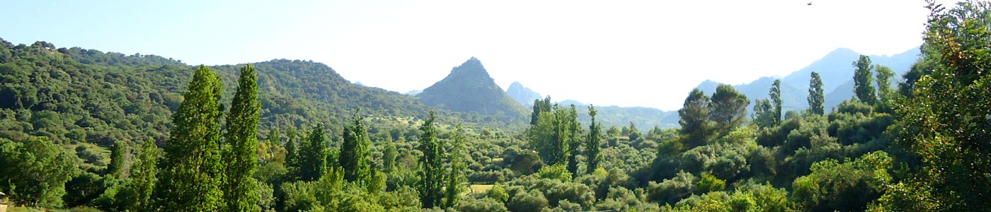 Views from the terrace 