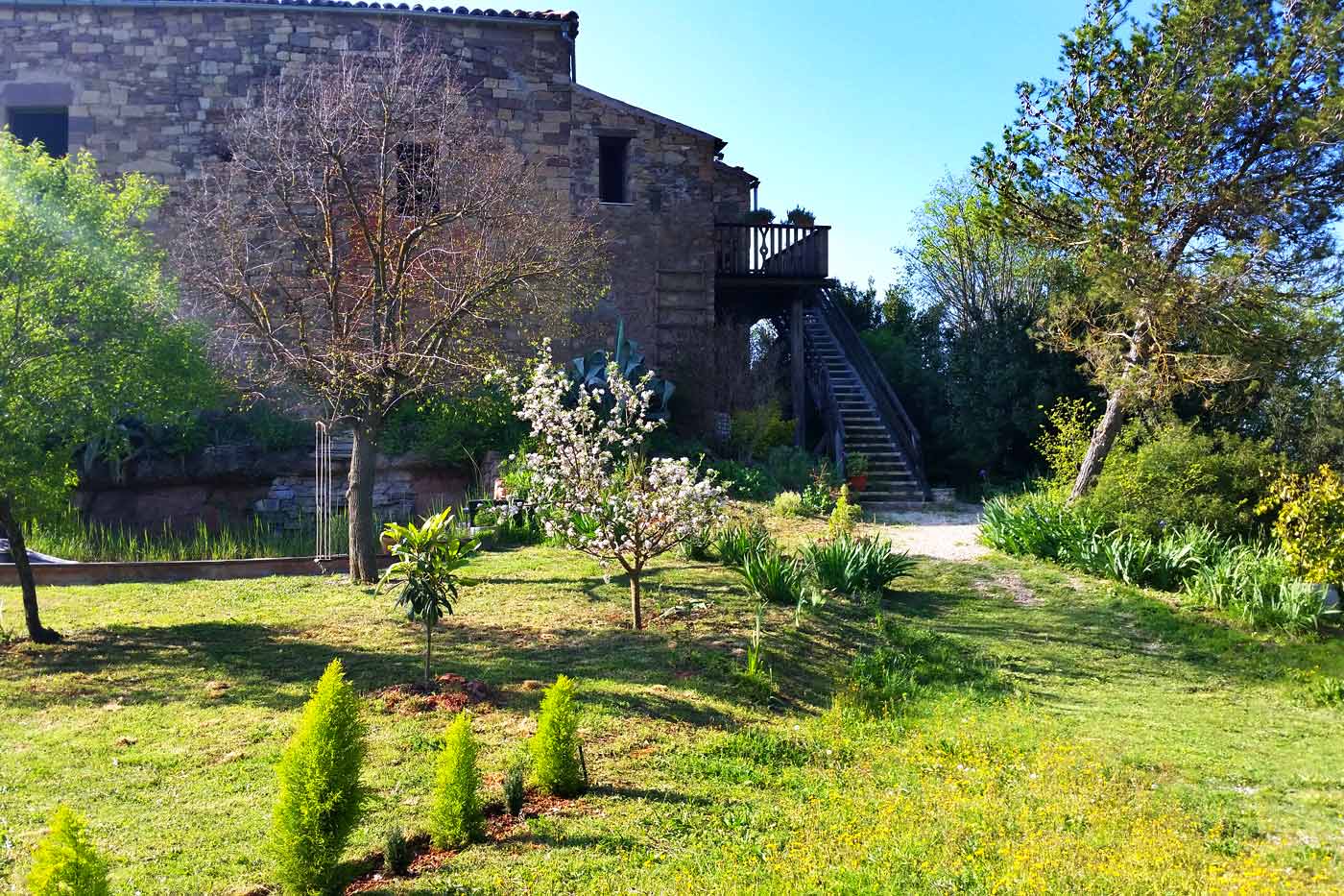 The garden in early Spring