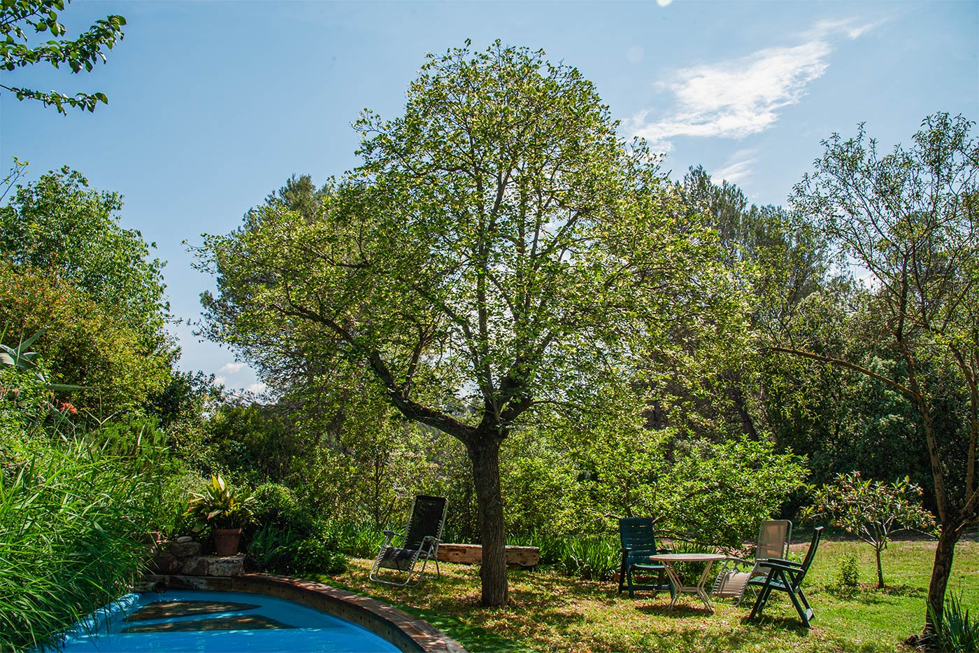 Relaxing surroundings