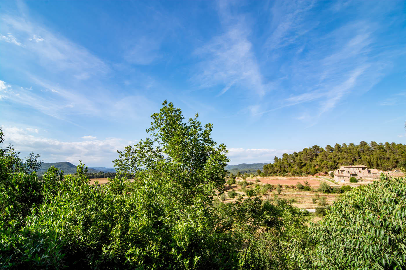 Looking to the north