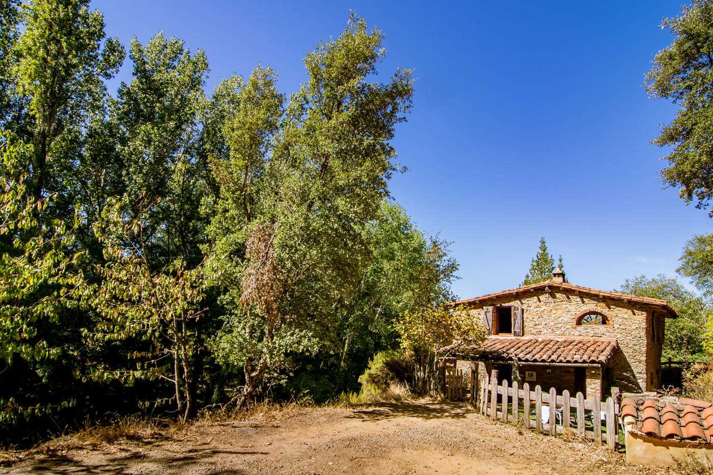 A sweet traditional cottage