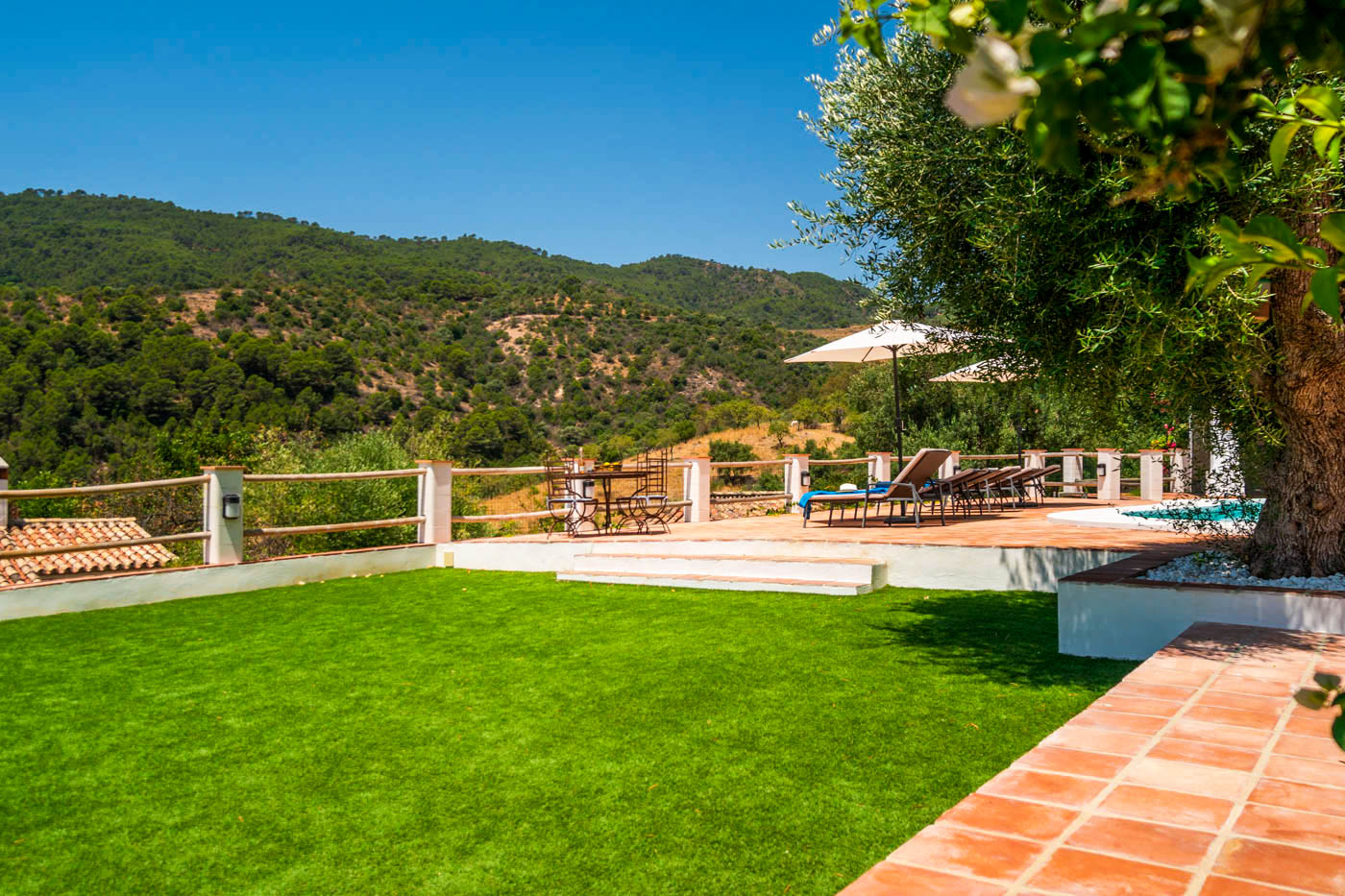 More terraces were added to gardens in 2019