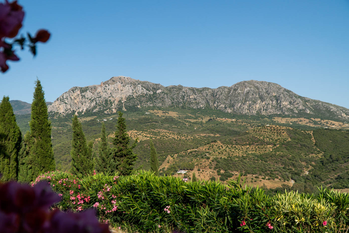 Looking onto Crestellina mountains