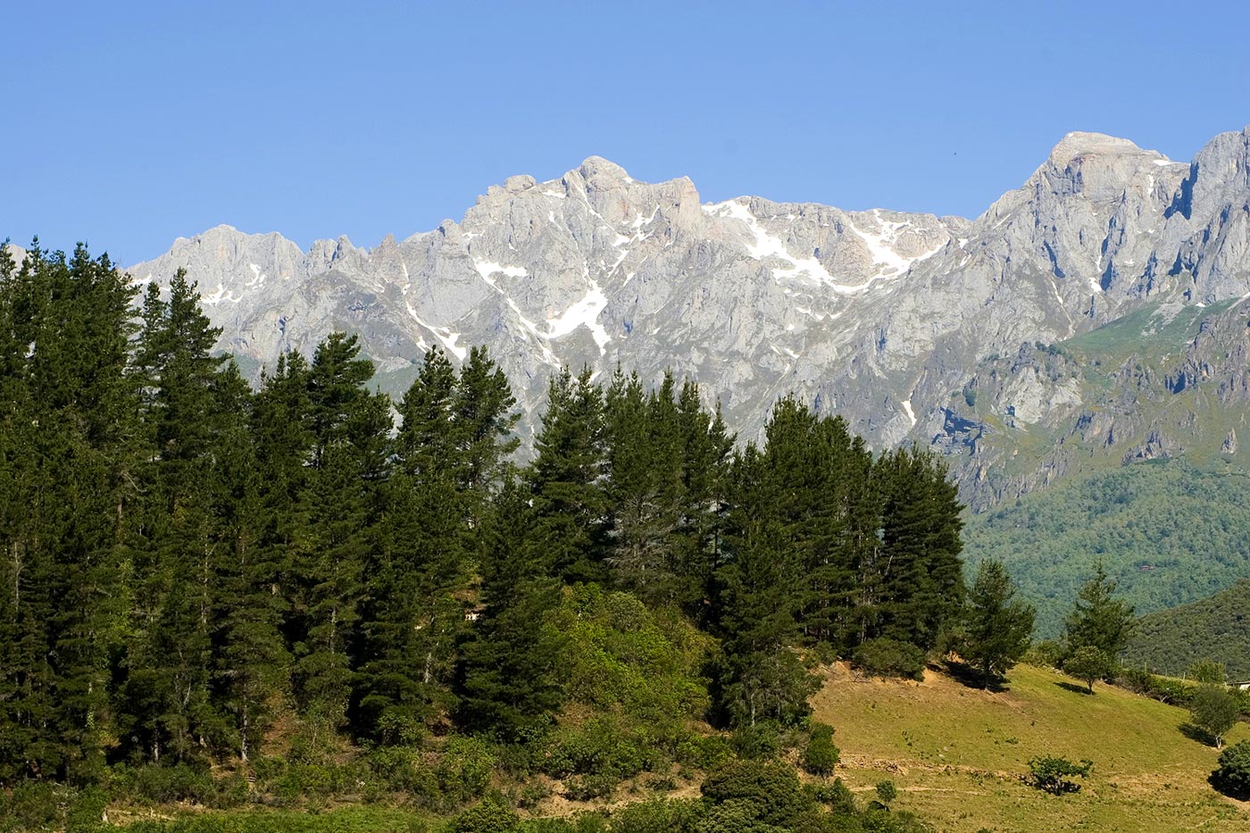 Picos de Europa
