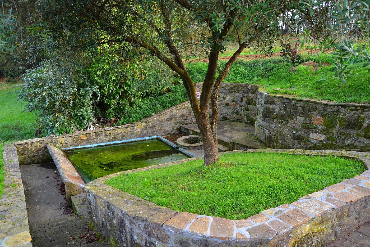 This picnic area is 2 minutes walk away