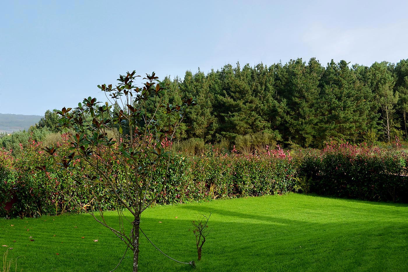 Good size lawned gardens