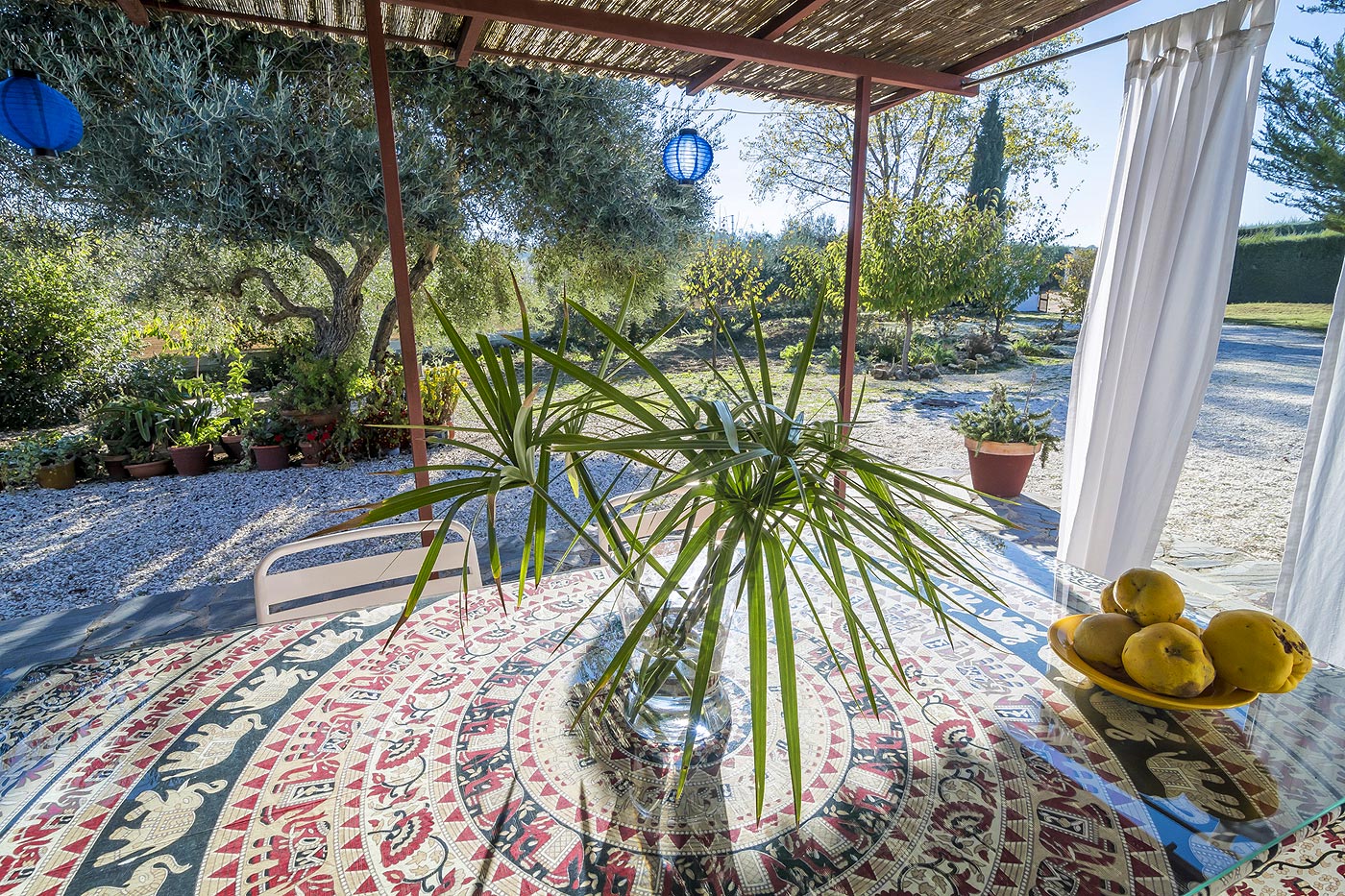 Zona con sombra junto a la entrada principal