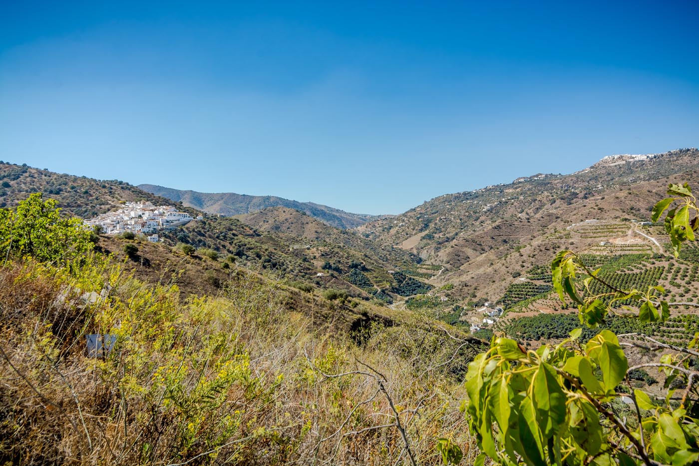El pueblo de Cutar (con 2 bares) está a 1,2 km