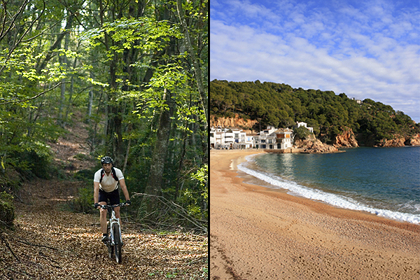 Rich forests with nearby unspoilt beaches