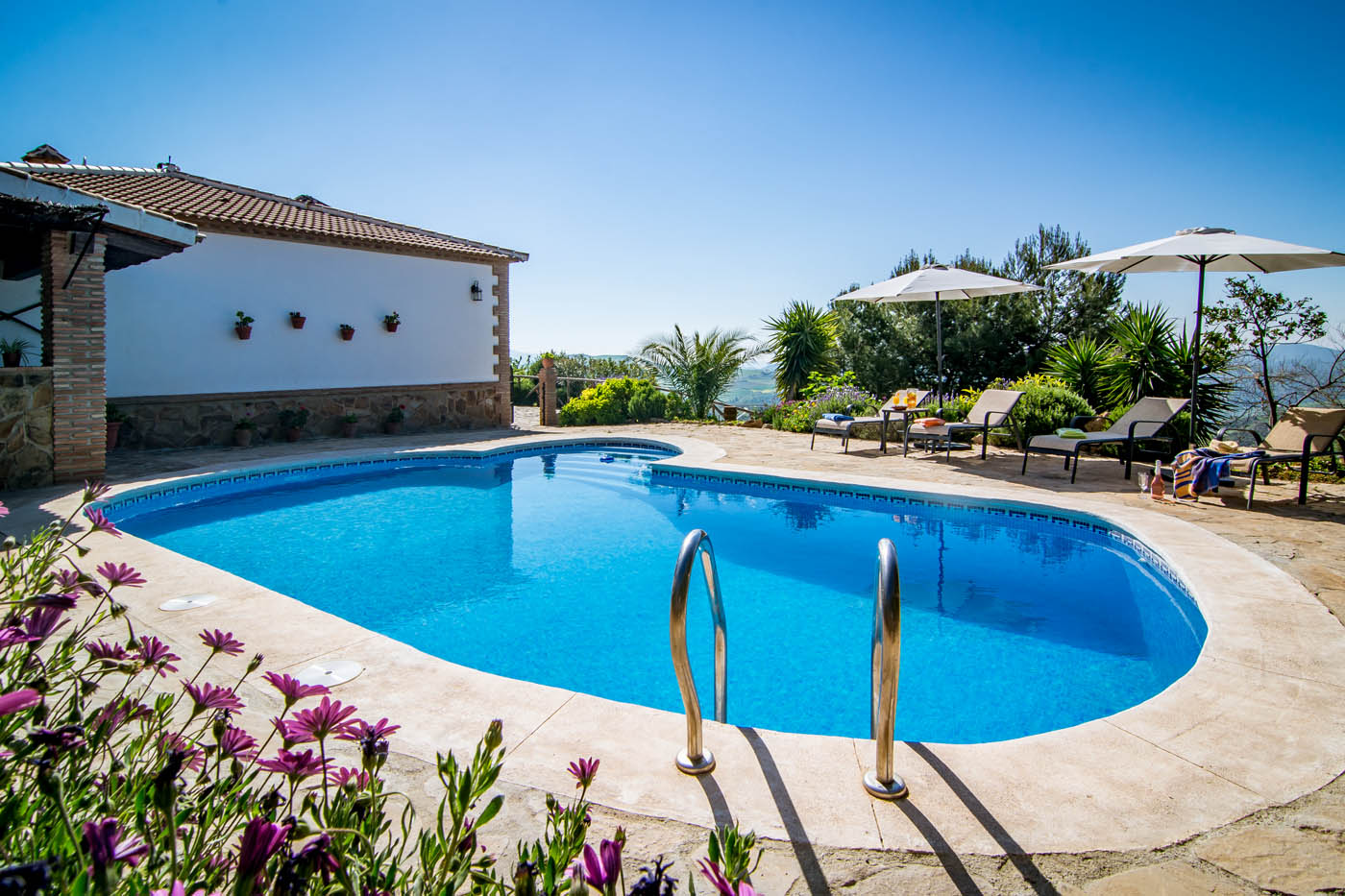 From 2024 the pool area has astroturf