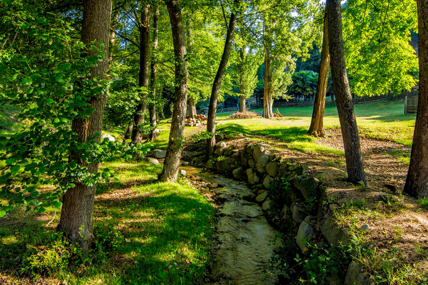 El río, aunque siendo pequeño, no se seca 