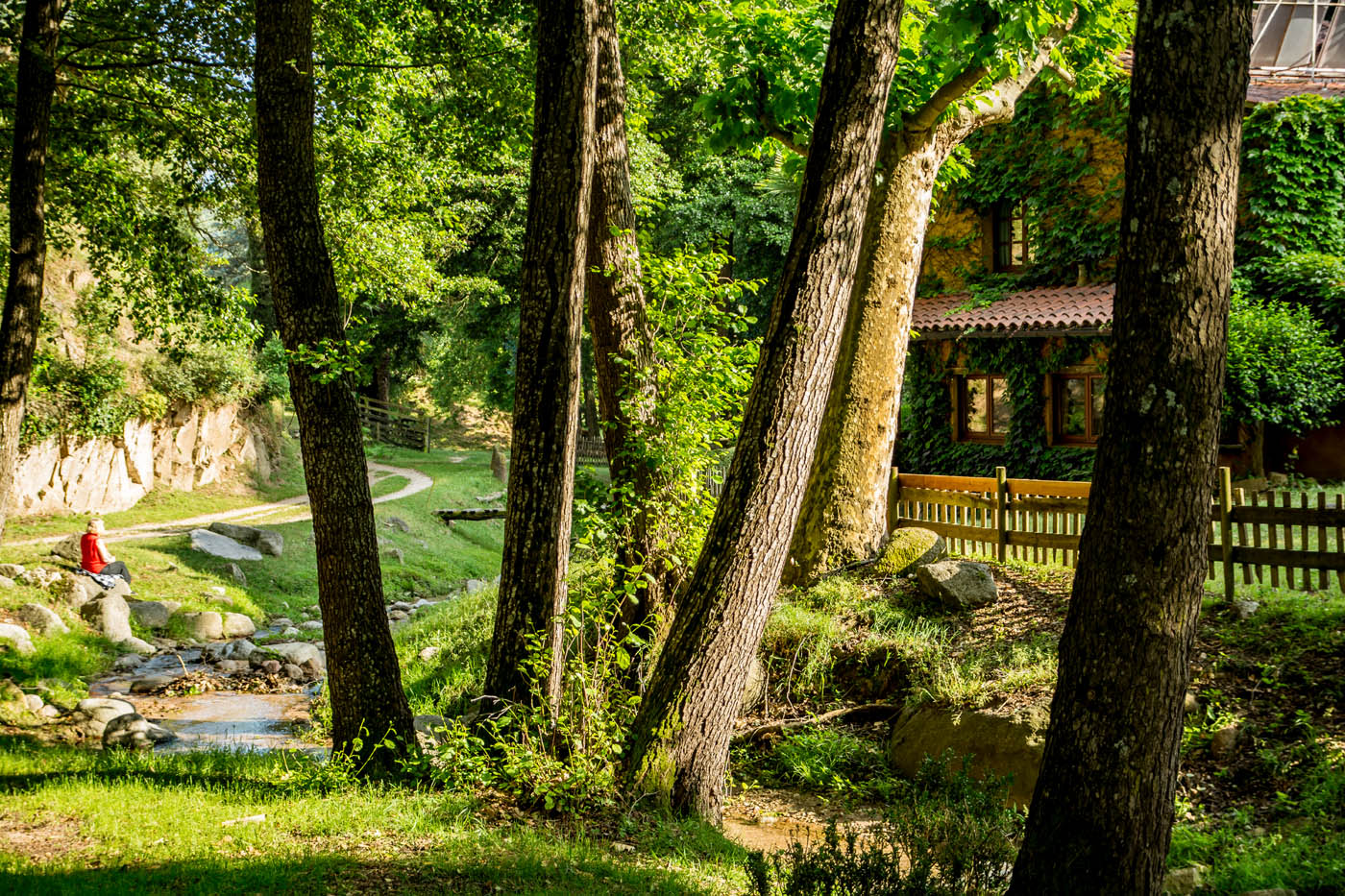 Dar un paseo por la finca
