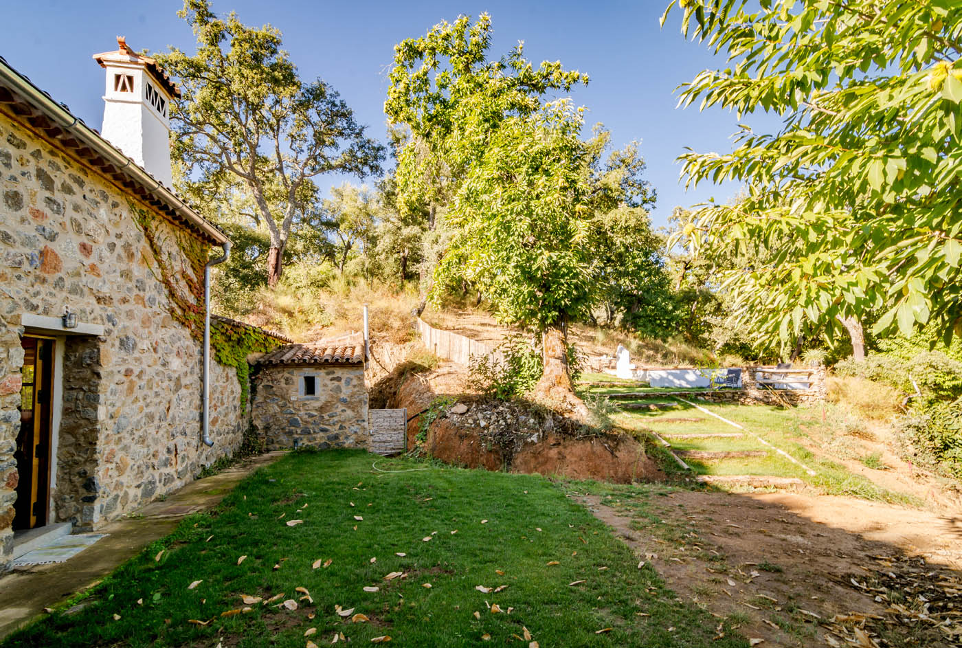 Garden area facing north with ramp to pool