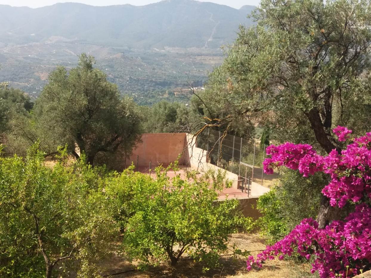 Cancha de pádel privada en la casa(bajo petición)