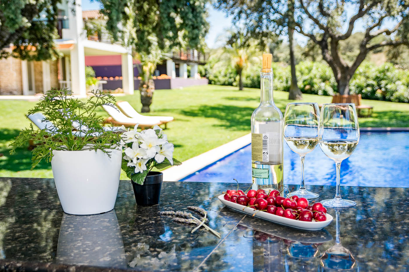 Piscina y propiedad vistas desde el bar