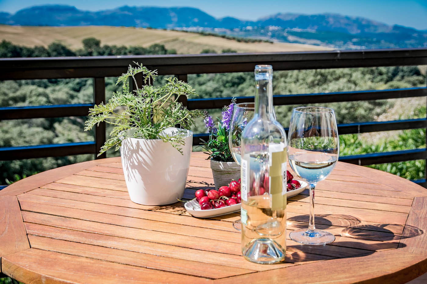 Las habitaciones tienen su propia zona al aire libre 