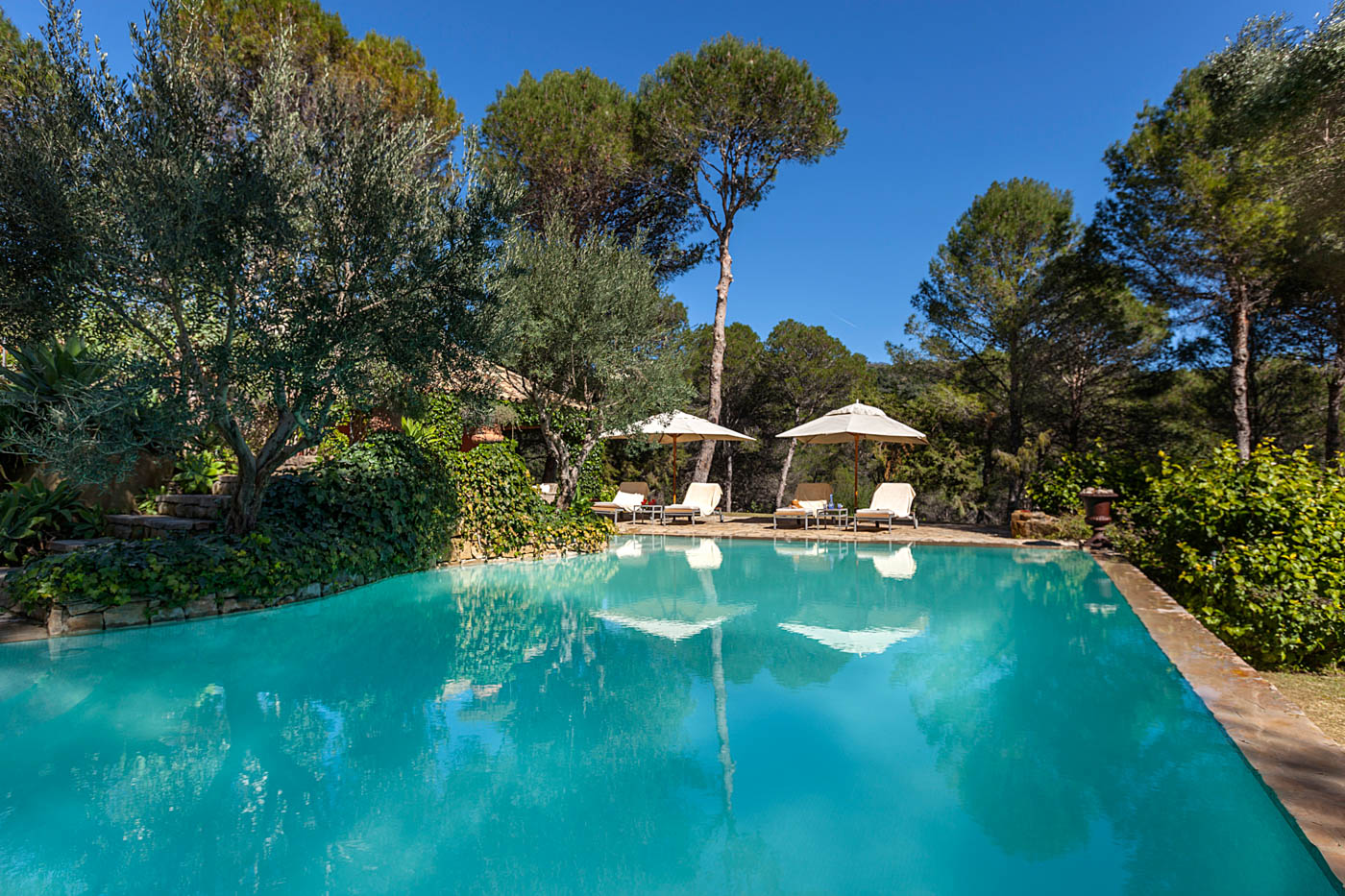 Beautiful large pool