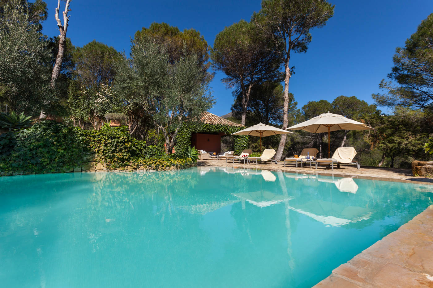 Sunloungers and parasols