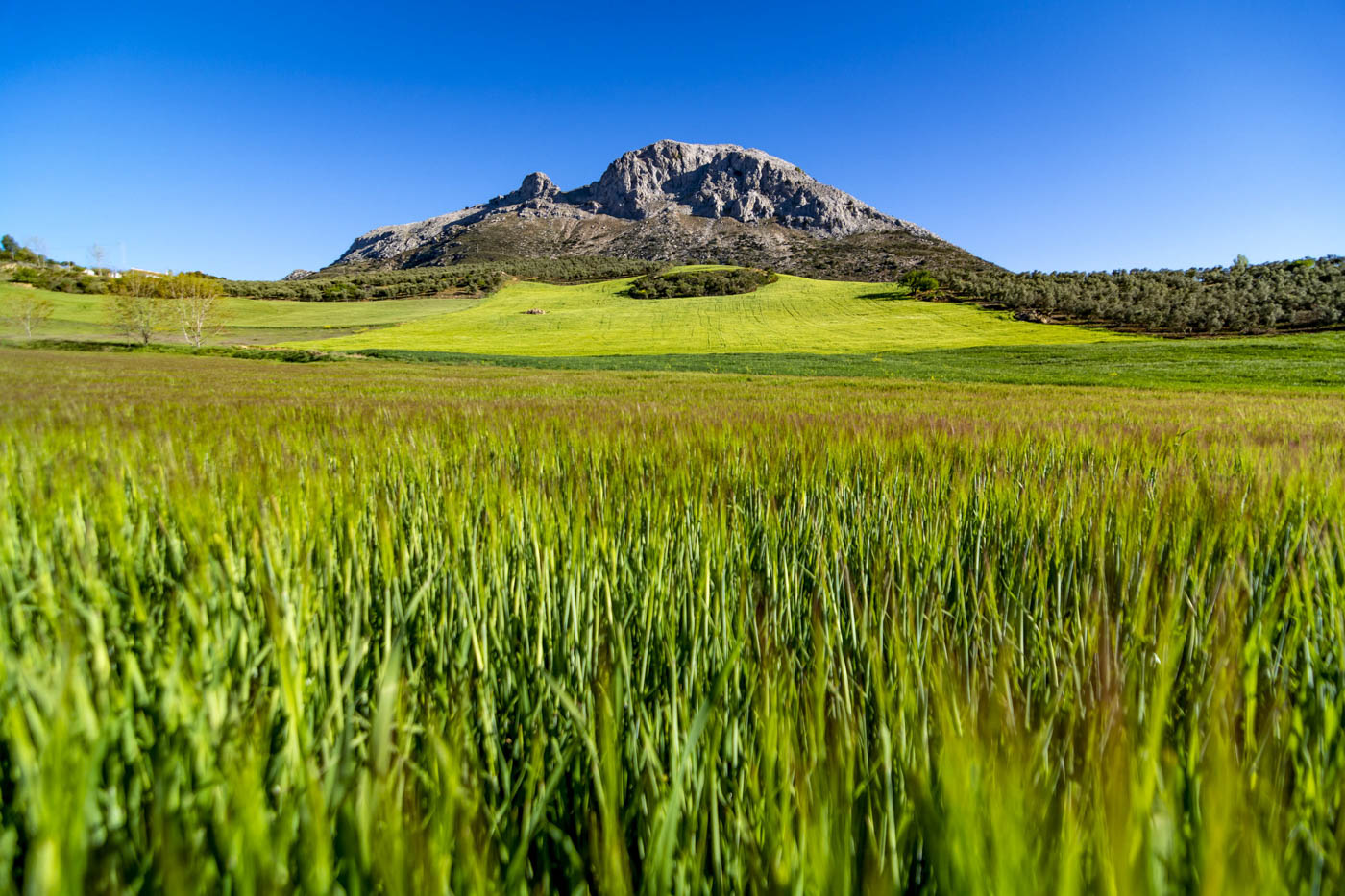 Your setting in rural Andalucia