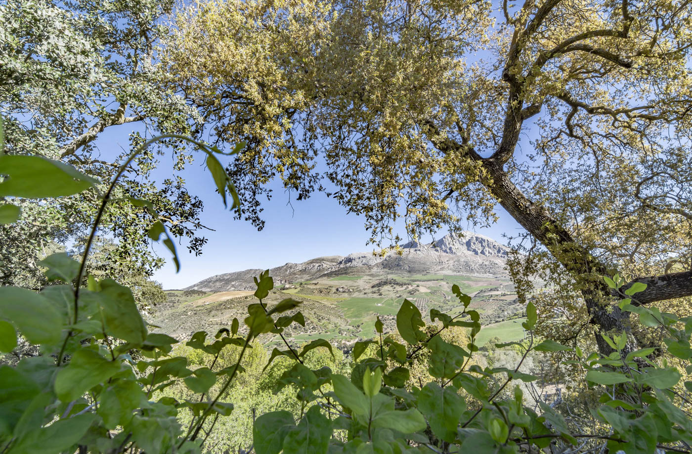 Views towards El Torcal mountains