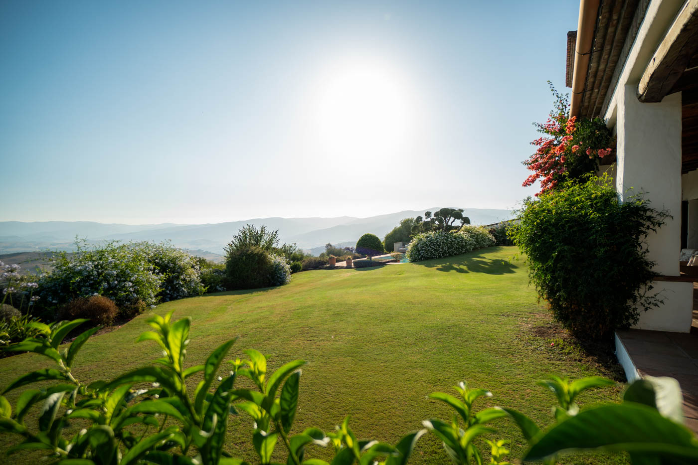 Gorgeous gardens. Photo taken by outdoor eating area