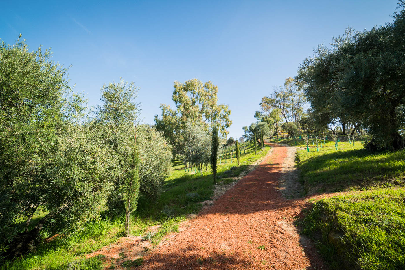 Your private spot in Andalucia