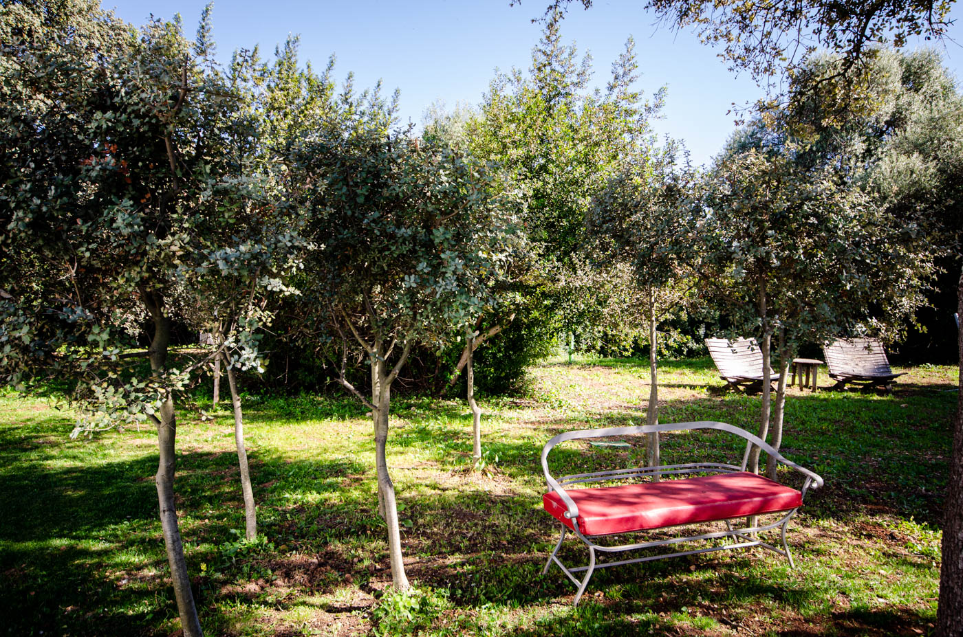 Rincones mágicos donde descansar