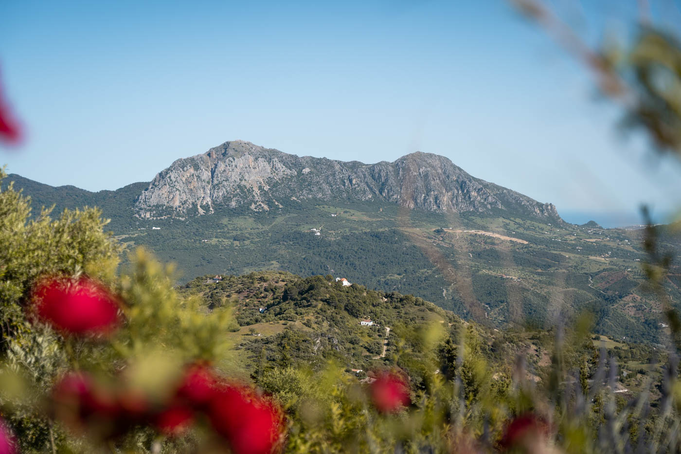 Crestellina Ridge and Mediterranean sea views
