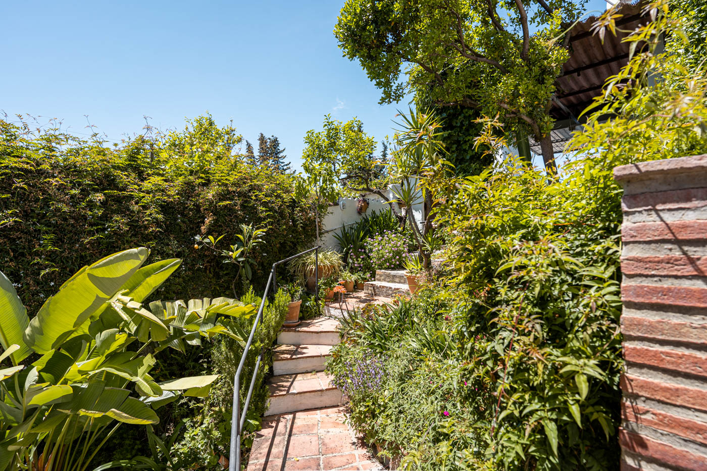 Back patio with steps to Mirador terrace