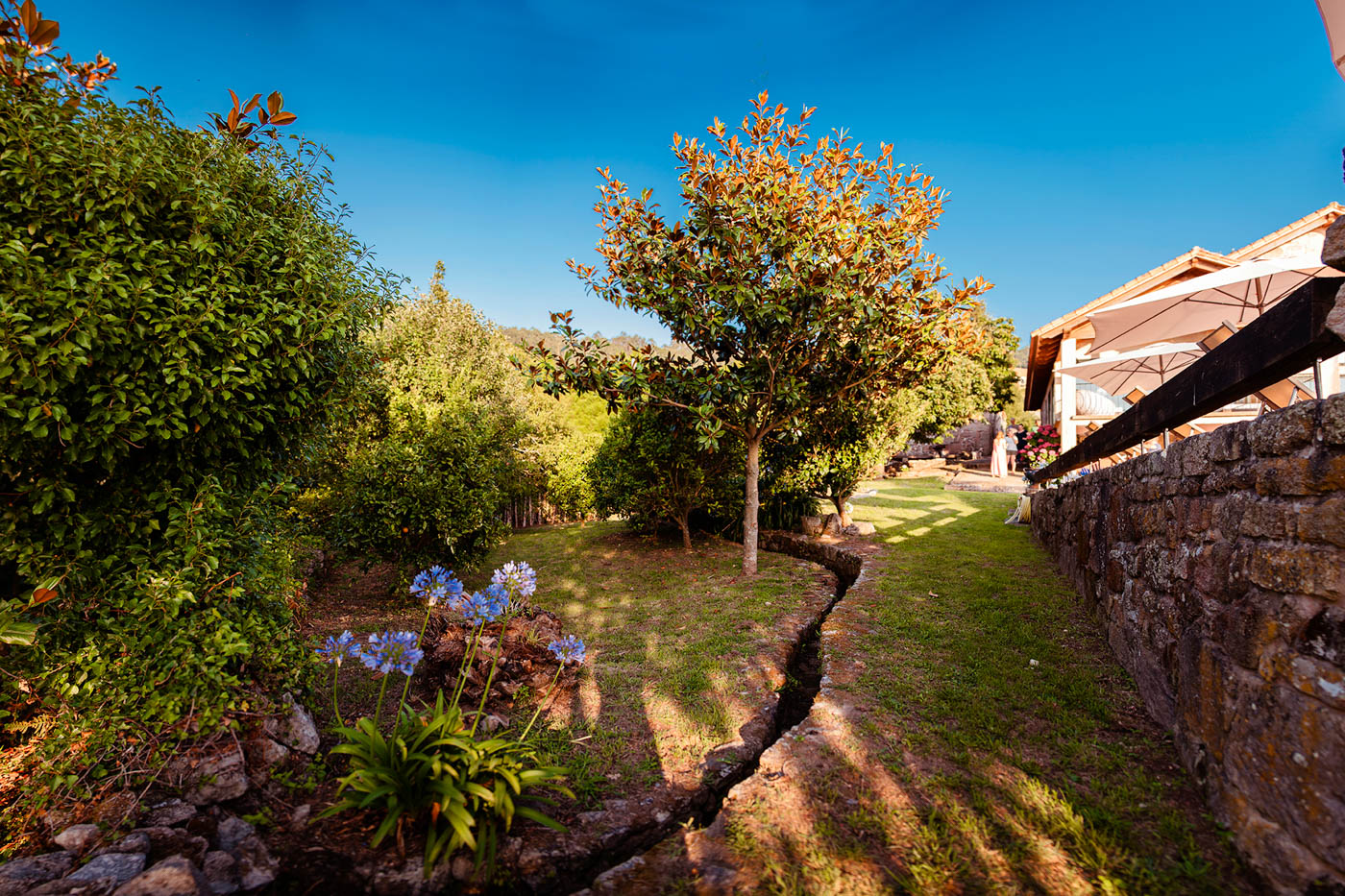 A stream of water crosses the finca