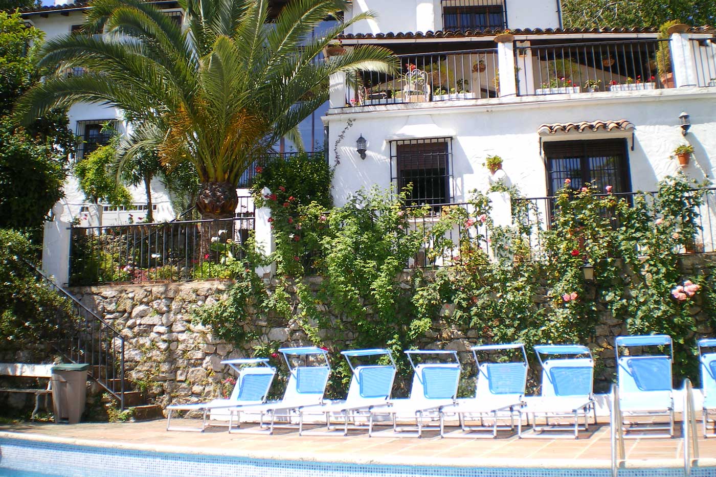 Zona de piscina con tumbonas y jardín 